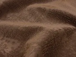 Mars (cocoa)