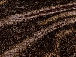 Reptile (chocolate)